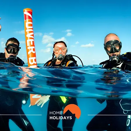 #235 New By Holidays *